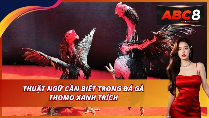 Thuật ngữ cần biết trong đá gà thomo xanh trích