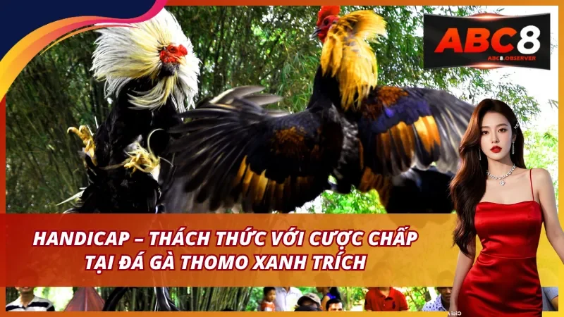 Handicap – Thách thức với cược chấp tại đá gà thomo xanh trích
